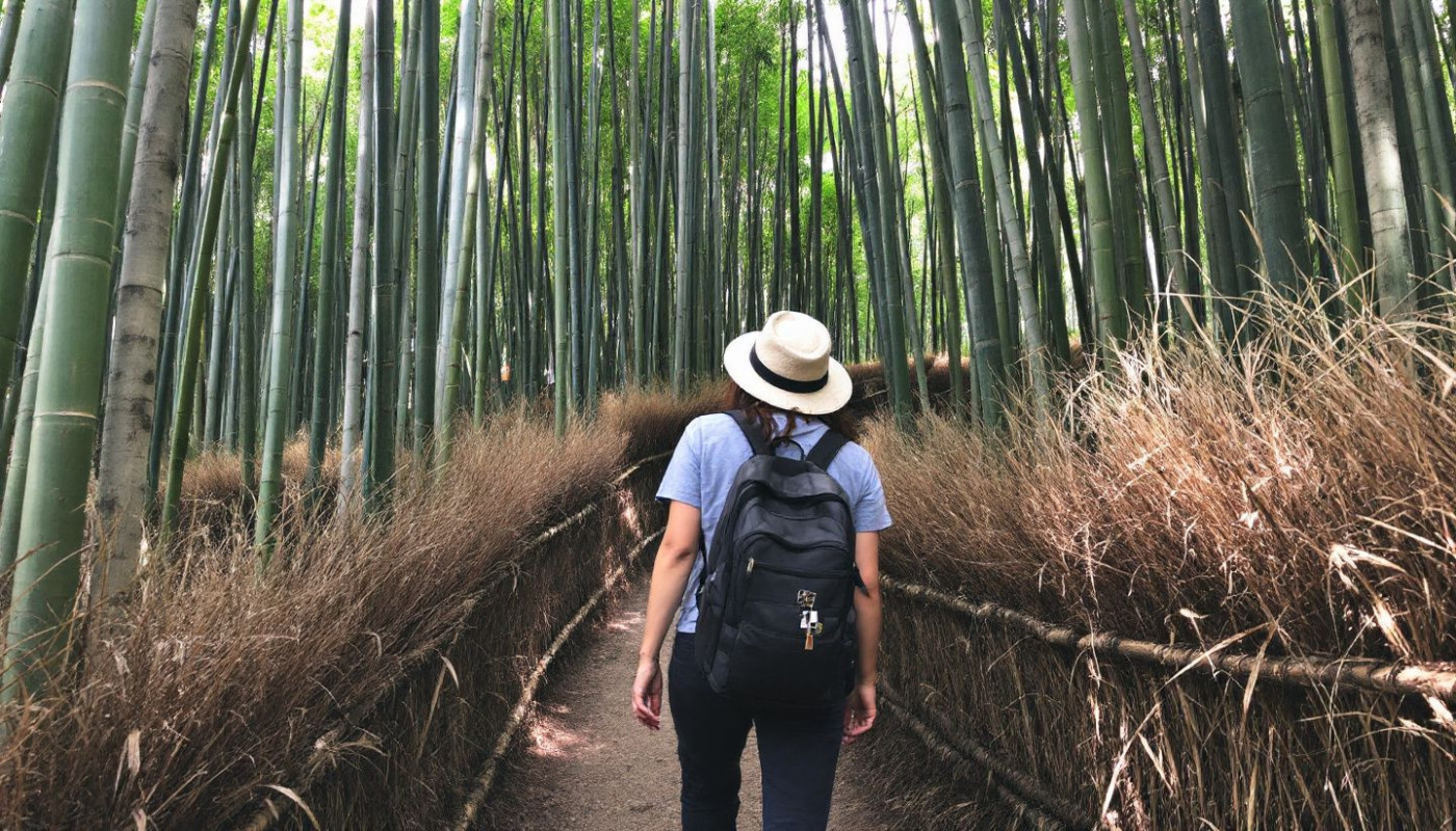 Optimiser son voyage au Japon : conseils pratiques pour tous budgets